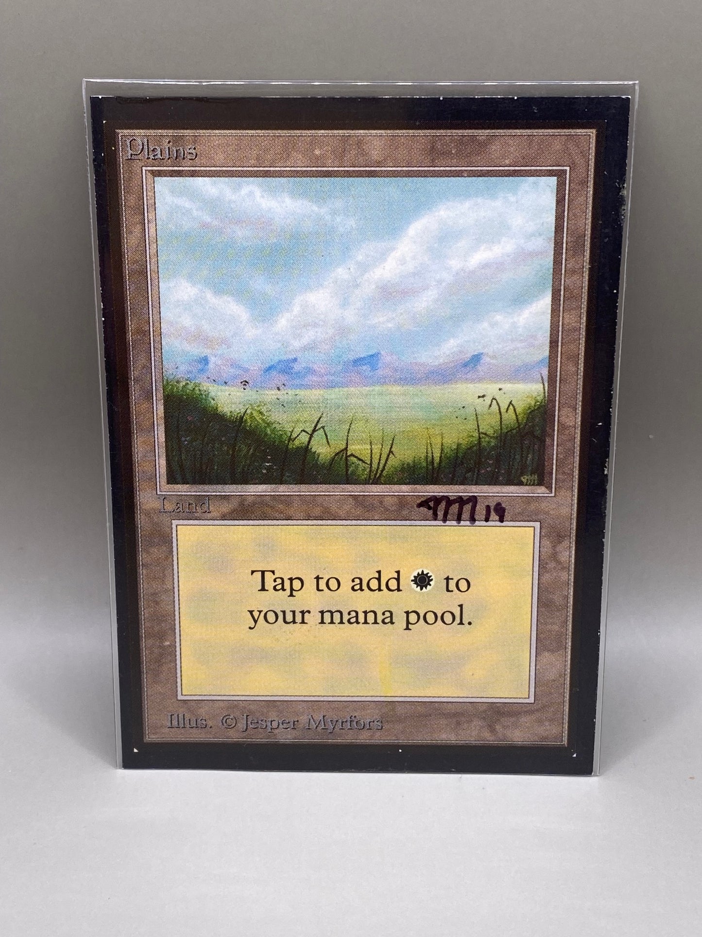 Magic the Gathering BETA 'Plains' Artist Proof by Jesper Myrfors (2)